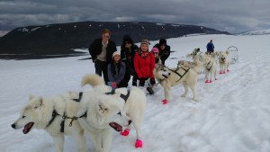 Iceland Dogsledding